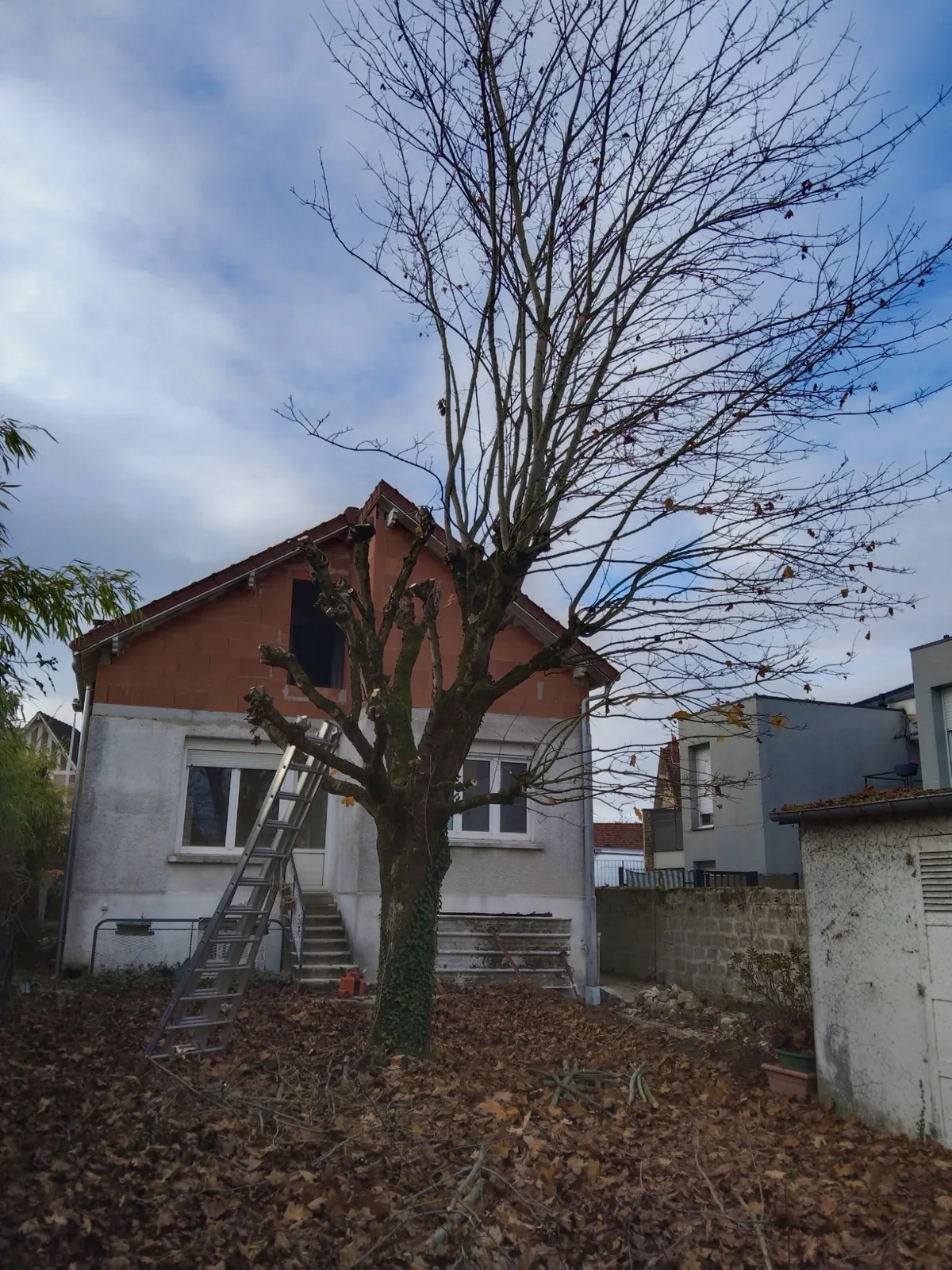 Élagage à Champagne-sur-Seine - Après