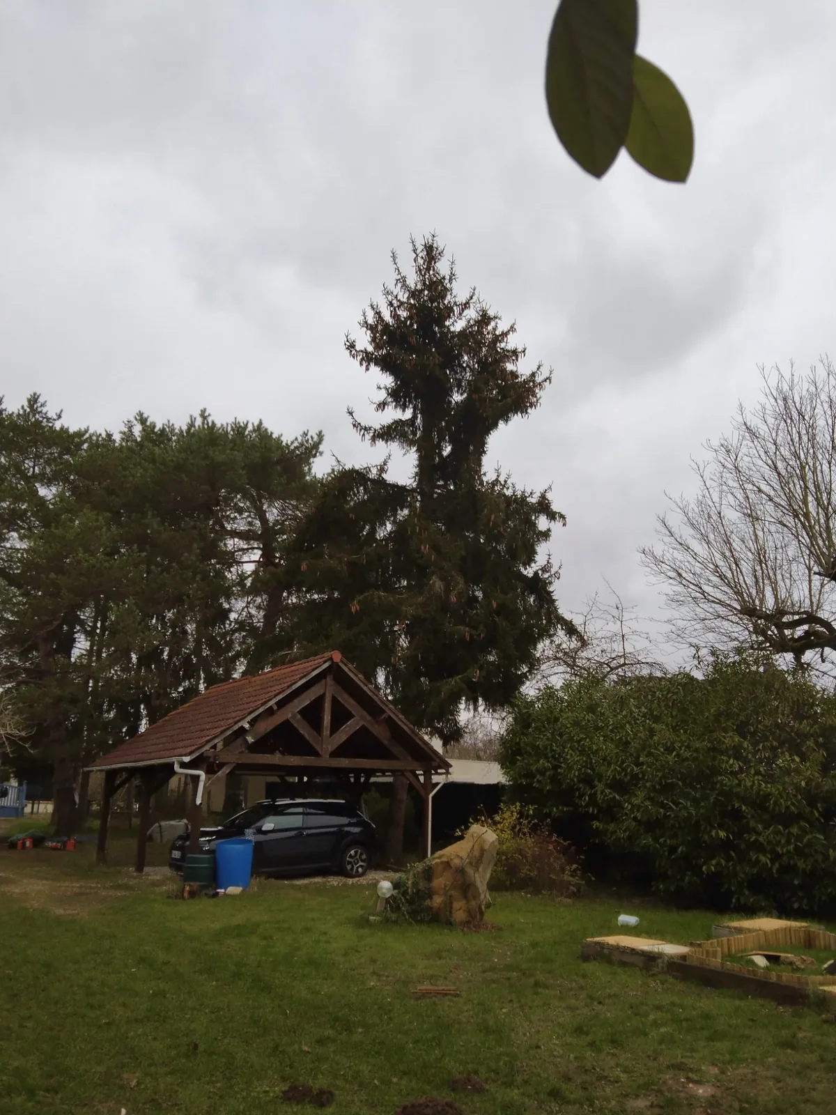 Taille de haies en Seine-et-Marne - Après