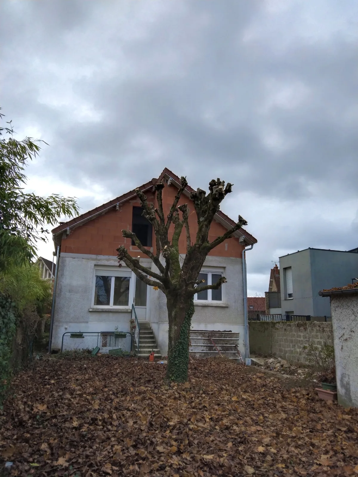Élagage à Champagne-sur-Seine - Avant